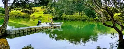 Floating modular jetty