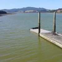 Modular Pontoons: What Size and Shape is Right for You?